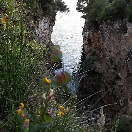 Апартаменты Adria Vista Mare - Modern With Sea View