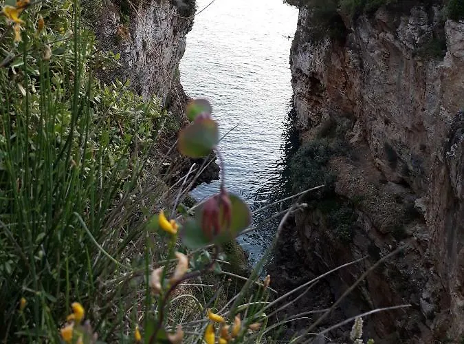 Lejlighed Adria Vista Mare - Modern With Sea View